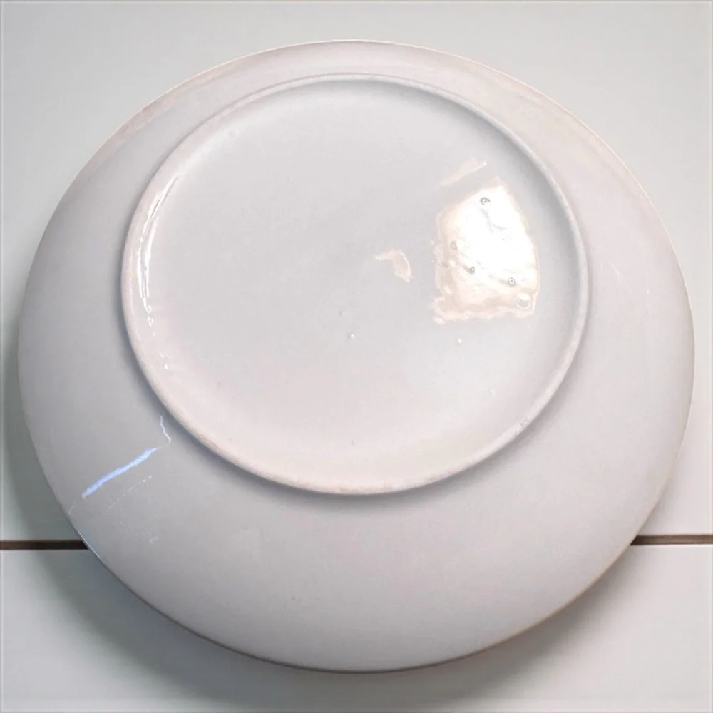 Trueliving Tropical Leaf Ceramic Plate Set 4pc Boho Palm Monstera NWT